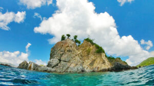 whistling cat trees St-John-US-Virgin-Islands-Rocknrolla-St-John-USVI-BVI-boat-charters.