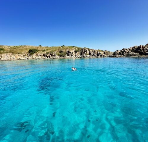 snorkeling around st john Private St John boat charters USVI BVI