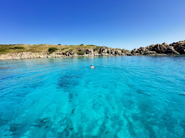 snorkeling around st john Private St John boat charters USVI BVI