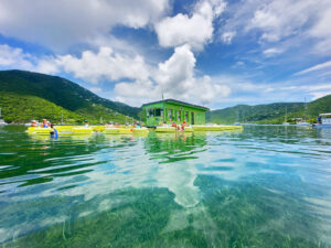 Floating bar with guests on yellow floats over clear seagrass water at Coral Bay, St John USVI